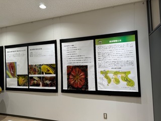 IMG_1341.jpeg