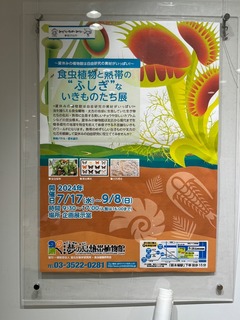 IMG_1345-1f527.jpeg