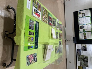 IMG_1346.jpeg