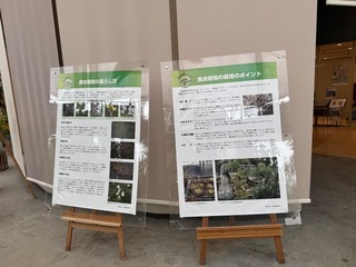 IMG_2259.jpeg