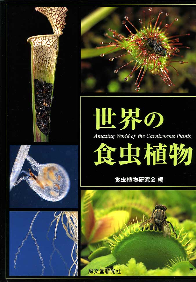 [�ʐ^�W�w���E�̐H���A���x�\��]