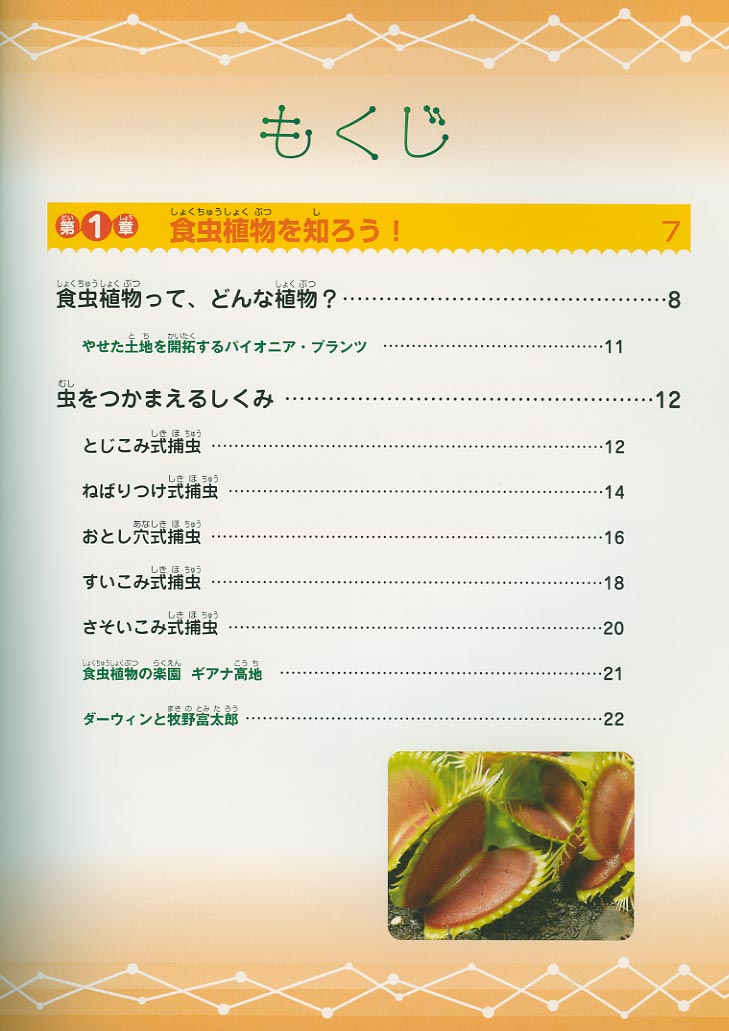 [�w�H���A���ӂ����}�Ӂx�������O]