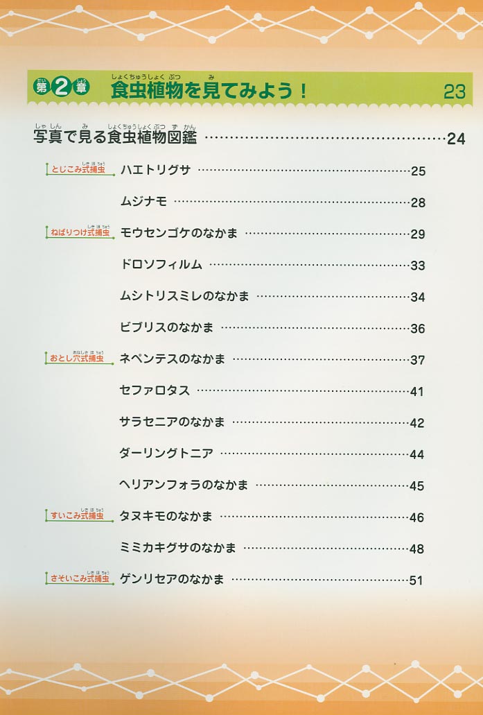 [�w�H���A���ӂ����}�Ӂx�������P]