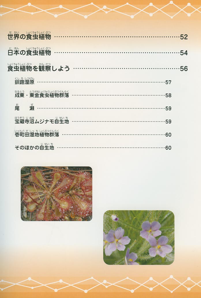 [�w�H���A���ӂ����}�Ӂx�������Q]