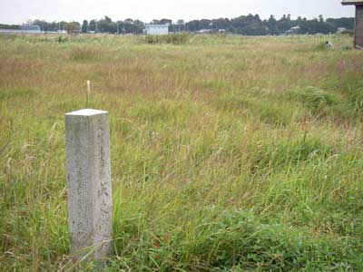 [���������n���w��ʐ^�P]