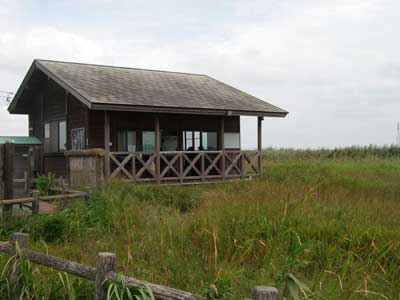 [���������n���w��ʐ^�R]