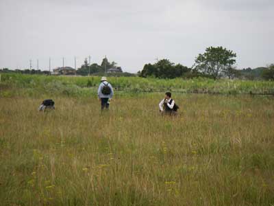 [���������n���w��ʐ^�U]