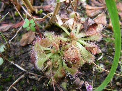 [���������n���w��ʐ^�W]