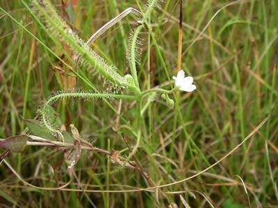 [���������n���w��ʐ^�P�O]