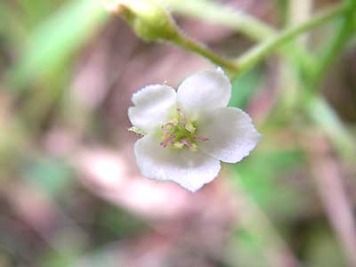 [���������n���w��ʐ^�P�P]