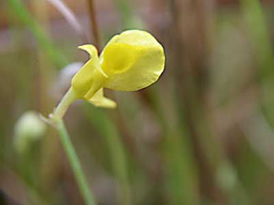 [���������n���w��ʐ^�P�Q]