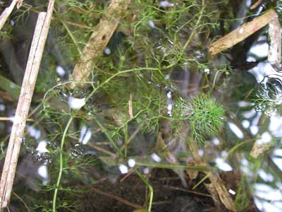 [���������n���w��ʐ^�P�R]