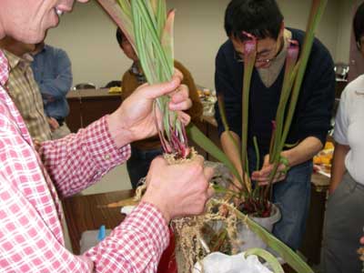 [�H�̗��ʐ^�Q]