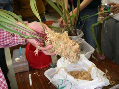 [�H�̗��ʐ^�R]