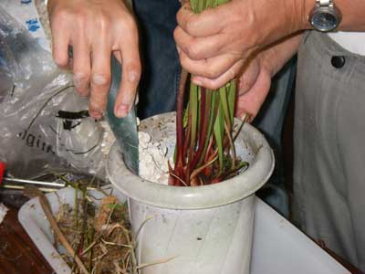 [�H�̗��ʐ^�S]