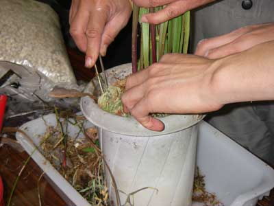 [�H�̗��ʐ^�T]