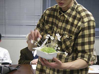 [�Q�O�O�U�H���A���������ʐ^�Q]