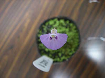 [�Q�O�O�U�H���A���������ʐ^�T]