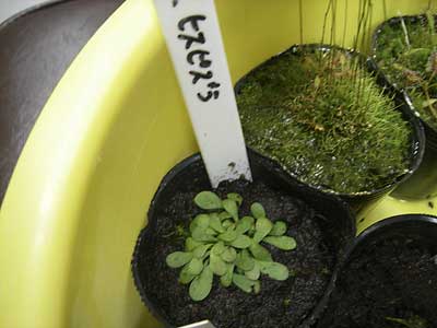 [�Q�O�O�U�H���A���������ʐ^�U]