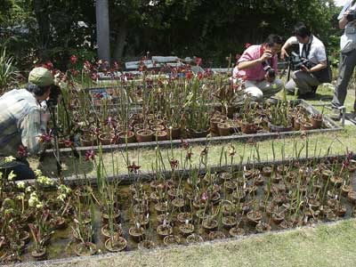 [���䓇�����n���w��ʐ^�Q]