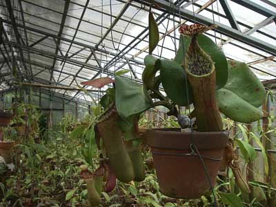 [���䓇�����n���w��ʐ^�S]