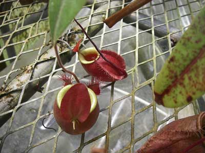 [���䓇�����n���w��ʐ^�T]