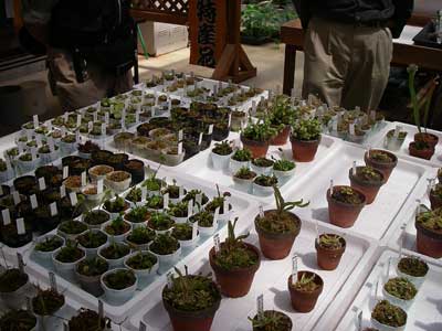 [���䓇�����n���w��ʐ^�W]