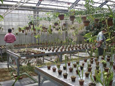 [���䓇�����n���w��ʐ^�X]