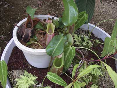 [���䓇�����n���w��ʐ^�P�P]