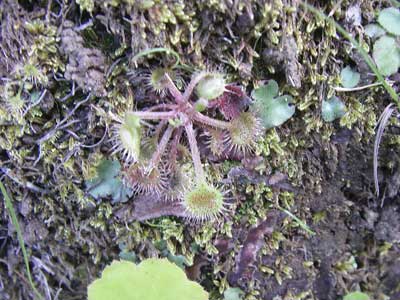 [���䓇�����n���w��ʐ^�P�S]