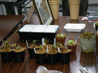 [�V�N��Q�O�O�V�ʐ^�T]