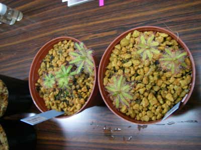 [�V�N��Q�O�O�V�ʐ^�V]