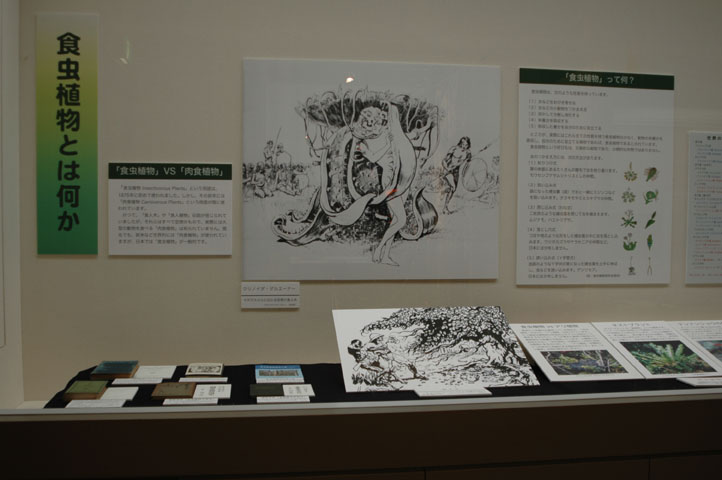 [��t�������������فu�H���A���W�v�ʐ^�P]