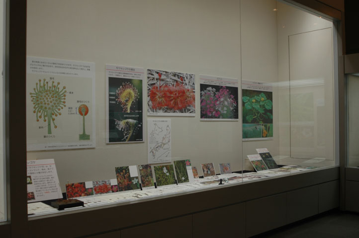 [��t�������������فu�H���A���W�v�ʐ^�Q]