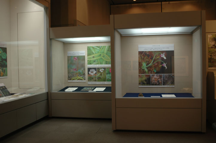 [��t�������������فu�H���A���W�v�ʐ^�R]