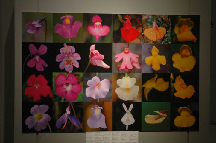 [��t�������������فu�H���A���W�v�ʐ^�T]