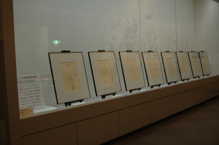 [��t�������������فu�H���A���W�v�ʐ^�U]