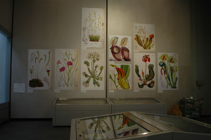 [��t�������������فu�H���A���W�v�ʐ^�V]