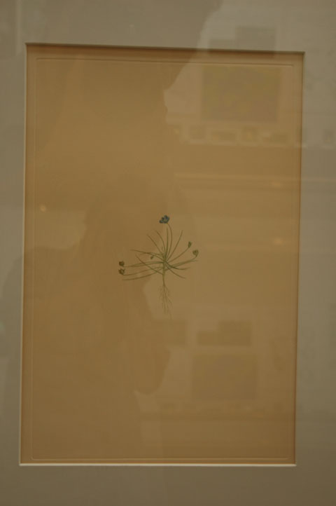 [��t�������������فu�H���A���W�v�ʐ^�W]