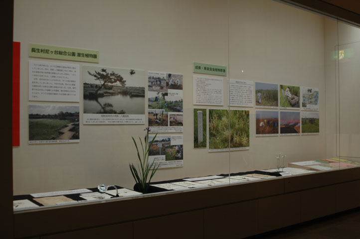 [��t�������������فu�H���A���W�v�ʐ^�P�O]