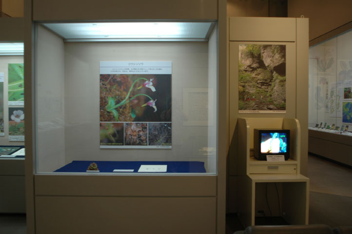 [��t�������������فu�H���A���W�v�ʐ^�P�P]