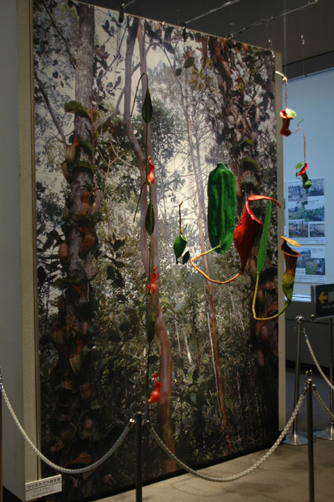 [��t�������������فu�H���A���W�v�ʐ^�P�R]