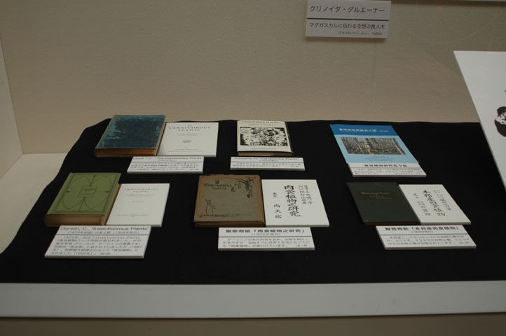 [��t�������������فu�H���A���W�v�ʐ^�P�S]