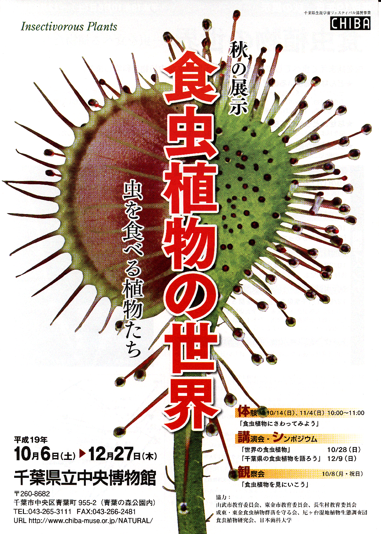 [��t�������������فu�H���A���W�v�|�X�^�[�ʐ^�P]