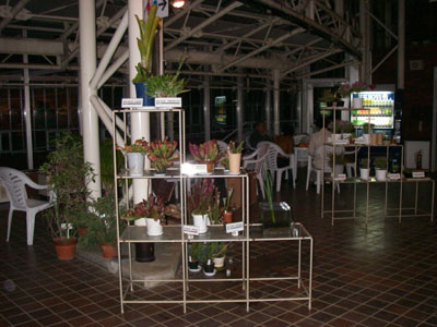 [�_��A�������u�H���A���W�v�ʐ^�R]