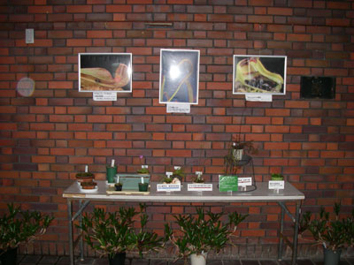 [�_��A�������u�H���A���W�v�ʐ^�S]