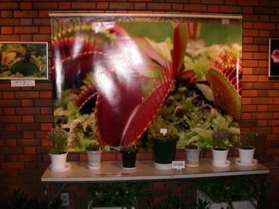 [�_��A�������u�H���A���W�v�ʐ^�T]