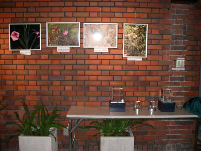 [�_��A�������u�H���A���W�v�ʐ^�U]