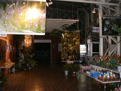 [�_��A�������u�H���A���W�v�ʐ^�V]