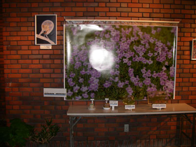 [�_��A�������u�H���A���W�v�ʐ^�W]